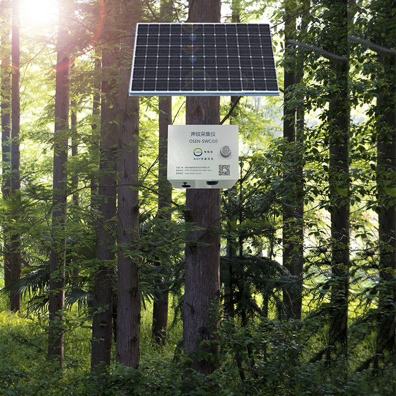 鳥類聲紋識別系統(tǒng)