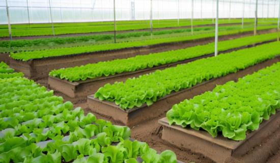 智慧農(nóng)業(yè)蟲(chóng)情監(jiān)測(cè)系統(tǒng)設(shè)備儀器 為蟲(chóng)害防治措施制定提供準(zhǔn)確詳細(xì)數(shù)據(jù)支持